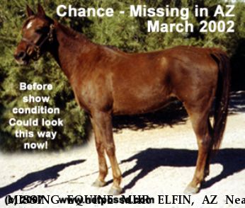 MISSING EQUINE MHR ELFIN, AZ Near unknown, AZ, 00000